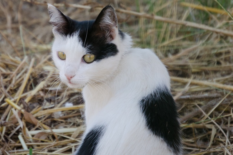 DSC_1822.jpg